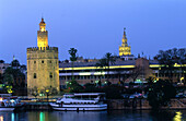 Torre del Oro at night. Seville. Andalusia. Spain