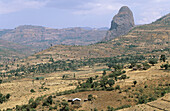 Near Addis Zemen. Ethiopia.