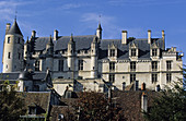 Castle of Loches. Indre-et-Loire, France