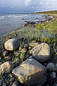 Stone beach on Baltic coast, Saaremaa island. Estonia