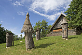 Bee-keeping Museum in Stripeikiai village, Aukstaitija National Park. Lithuania