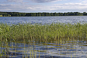 Lake Lusiai, Aukstaitija National Park. Lithuania