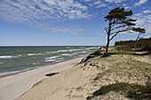 Baltic coast near Ventspils. Kurzeme, Latvia