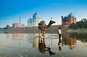 Taj Mahal. Indian Boy and Camel in Yamuna River. Agra. Uttar Pradesh. India.