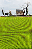 Morocco-Region Kandar et Sebou: Spring Countryside by town of El Menzel