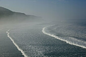 Morocco. Atlantic Coast. Taghazout: Atlantic Coast in morning mist