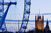 Houses of Parliament and London Eye / Evening. London. England. UK.