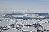 Pack Ice in Antarctica