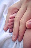 Mothers hand with babys foot.