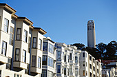 Coit Tower. North beach. San Francisco. California. USA