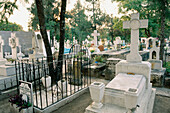 Town cemetery. San Miguel de Allende. Guanajuato. Mexico