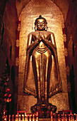 Standing buddha. Ananda Pahto. Bagan. Myanmar.