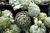  Artichoke, Artichokes, Circles, Close up, Close-up, Color, Colour, Concentric, Daytime, Detail, Details, Exterior, Food, Green, Harvest, Harvesting, Harvests, Horizontal, Many, Outdoor, Outdoors, Outside, Peel, Pile, Rough, Vegetable, Vegetables, E09-200