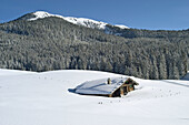 The Alpine hut Traunsteiner Huette on the Winkelmoosalm and mount Duerrnbachhorn (1776 m.) in background. Upper Bavaria, Germany