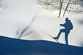 Shadow of cross-country skier in the snow int the cross-country ski run