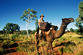 Stock woman with camels. Stock Station near Alice Springs. Northern Territory. Australia.