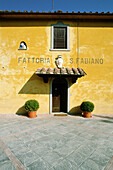 Arezzo wine factory San Fabiano . Tuscany. Italy.
