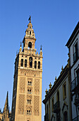 Spain. Andalusia. Sevilla, the Giralda , tower of the cathedral