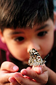 Boy holding butterfly