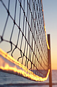 sunset volleyball net