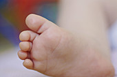 baby foot