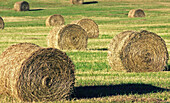 Alaska farm with rolled hay