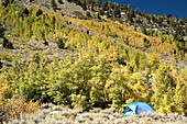 Autumn camping. California. USA