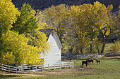 autumn farm, USA