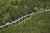 Pipeline through forest, Alaska. USA.