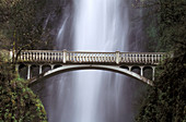 Multnomah Falls and Benson Bridge. Columbia River Gorge National Scenic Area. Oregon, USA