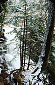 Cascading waterfalls in winter with snow and trees