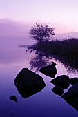 Lake and mist with rocks and magenta colors, USA