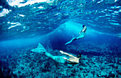 Men as mermaids under water