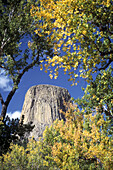 Devils Tower National Monument. Wyoming. USA