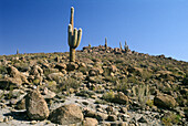 Desert near Toconce. Andes region, Chile