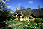 Ann Hathaway s Cottage, Stratford-upon-Avon , England
