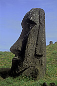 Moai statue, Rano Raraku. Easter Island, Chile