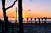 Sunset view from Battery Park, New York City, showing water and a helicopter silhouetted in the sky and trees, street light and coin operated binoculars silhouetted in the foreground