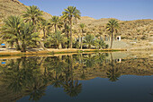 Date palm reflections at Wadi Bani Khalid, a popular recreational oasis, northern Oman