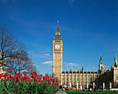 Big Ben and Houses of Parliament. London. England
