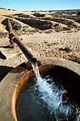 Irrigation. Bahariya (Al-Bahriyah oasis). Egypt