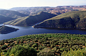 Tagus River. Monfrague Natural Park. Cáceres province. Extremadura. Spain