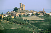 View of Serralunga d Alba. Piedmont. Italy