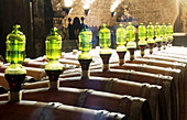 Wine cellars, castle of Spessa. Capriva del Friuli. Friuli-Venezia Giulia, Italy