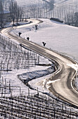 Country landscape near Treiso. Langhe region, Piedmont, Italy