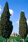 Cottage and cypresses. Val d Orcia. Siena. Tuscany. Italy