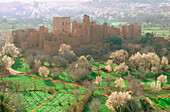 Kasbah from Kelaa M gouna surrounding area. Dades Valley. High Atlas. Morocco