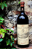 Wine bottle, Badia a Coltibuono, Chianti region. Tuscany, Italy