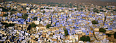 Jodhpur, the blue city. Rajasthan. India