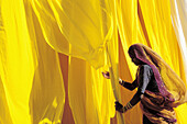 Drying saris. Rajasthan. India